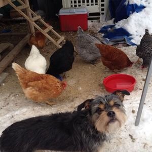 Meet your Posher, Kaarina